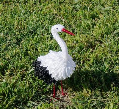 Cigogne